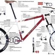 large_bike_anatomy.jpg